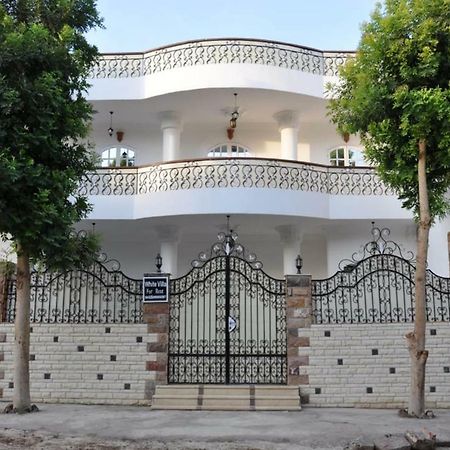 White Villa الأقصر المظهر الخارجي الصورة