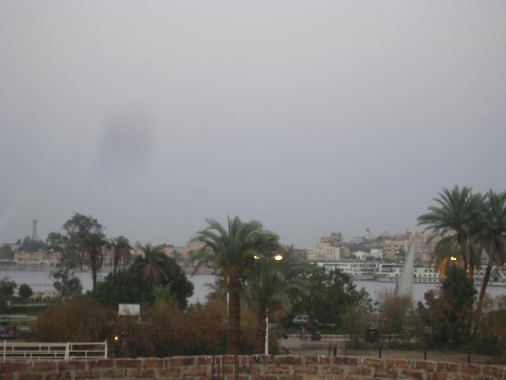 White Villa الأقصر المظهر الخارجي الصورة