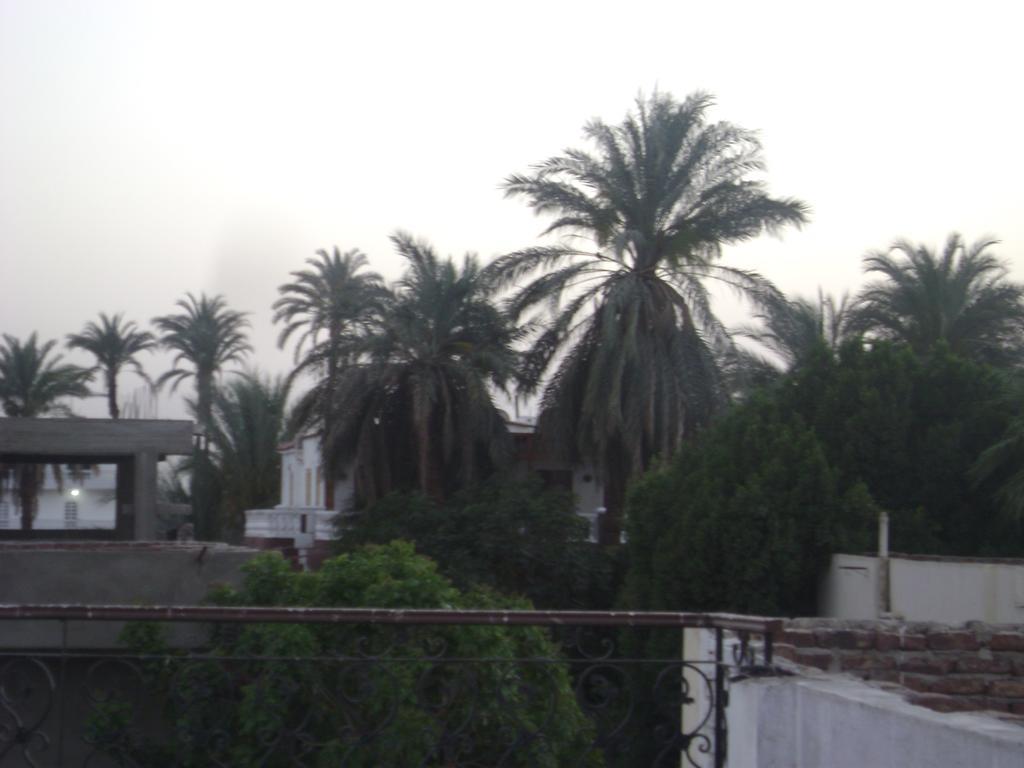 White Villa الأقصر المظهر الخارجي الصورة