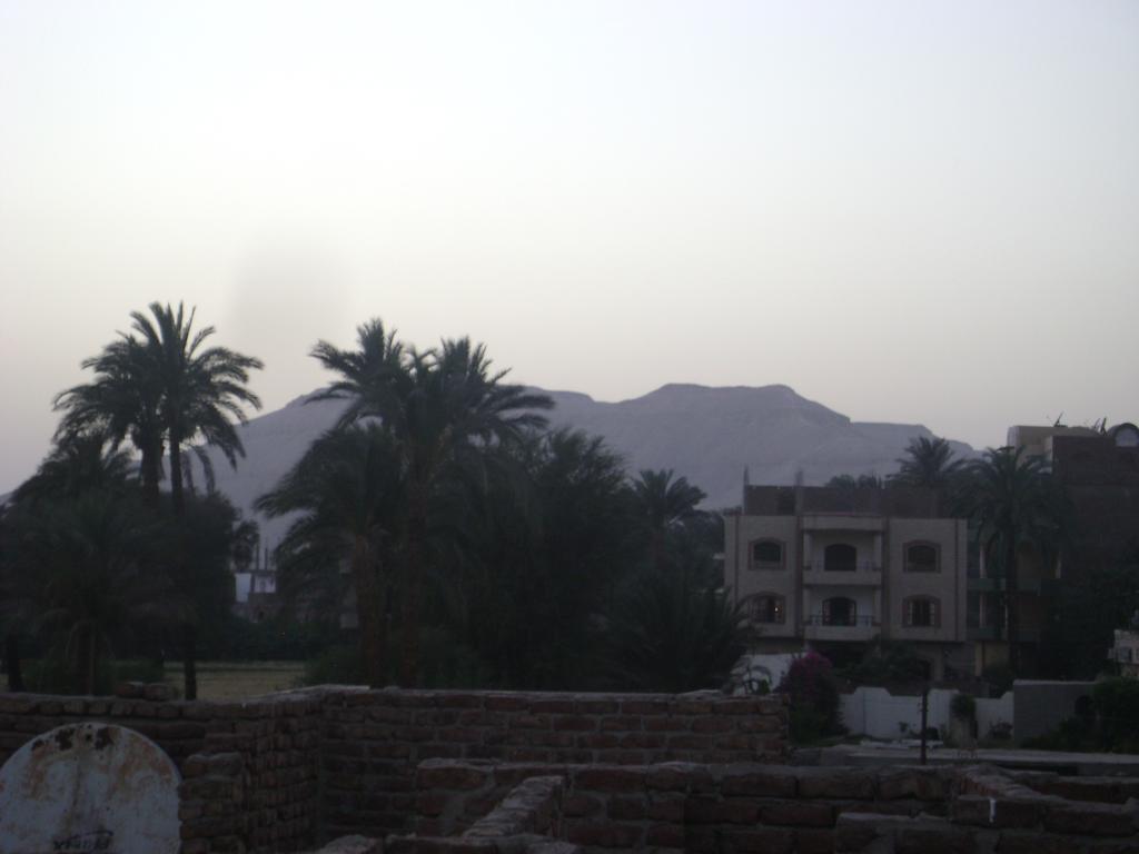 White Villa الأقصر المظهر الخارجي الصورة