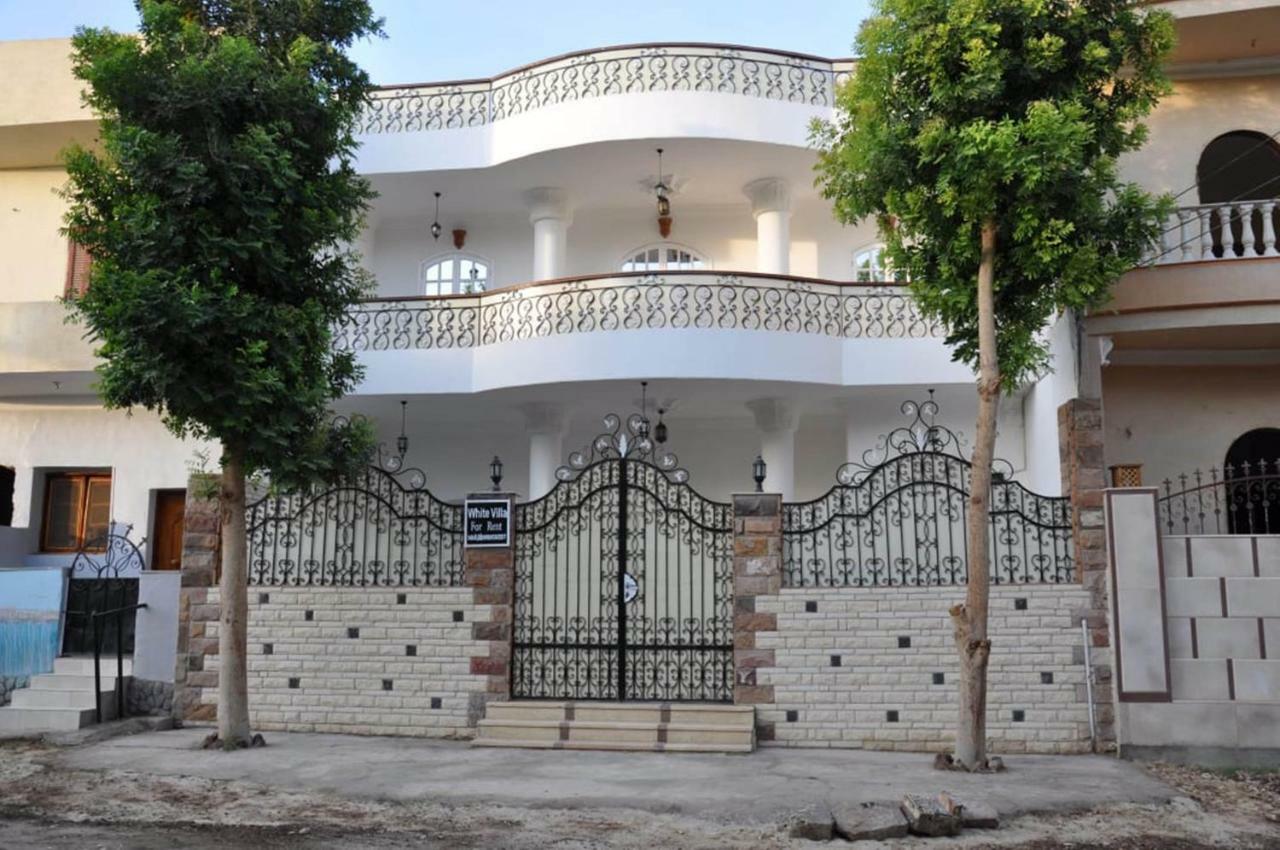 White Villa الأقصر المظهر الخارجي الصورة